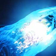 Illustration for article titled The Underwater Express Lets You Cruise In a Gigantic Gas Bubble at 100 Knots